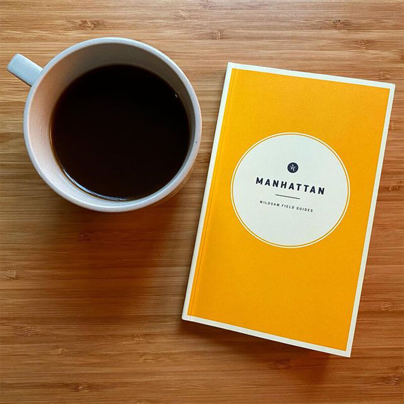 Wildsam Travel Guide - Manhattan image number 3