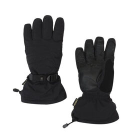Spyder Men's Overweb GTX Ski Glove