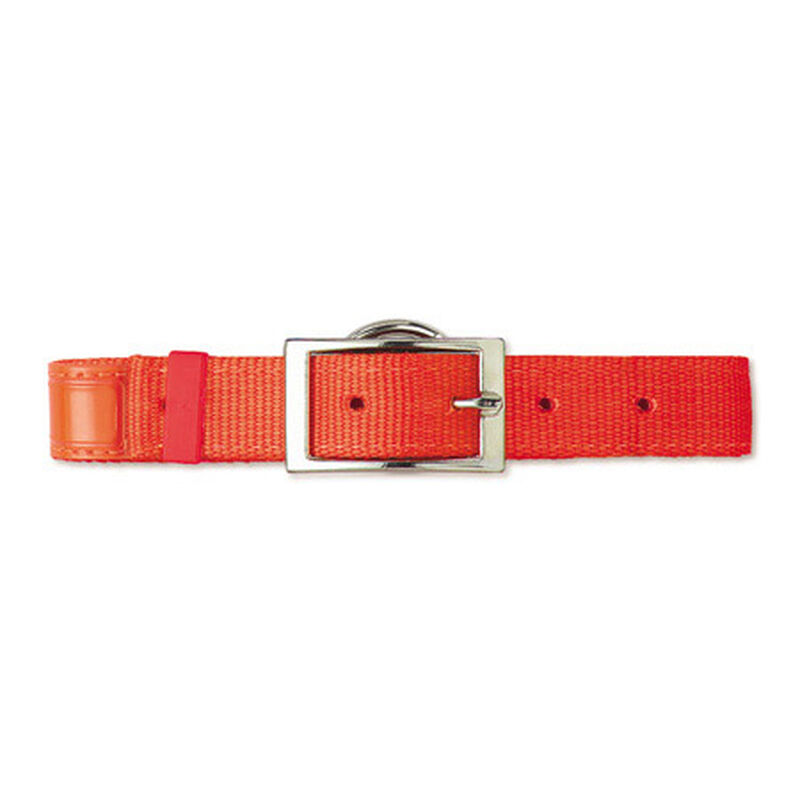 Scott Pet Hot Orange Field Collar 1"W x 18"L Reflexite image number 1