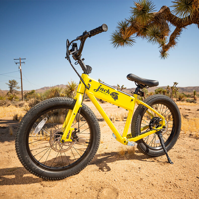 JackRabbit XG, The XL Micro eBike image number 21