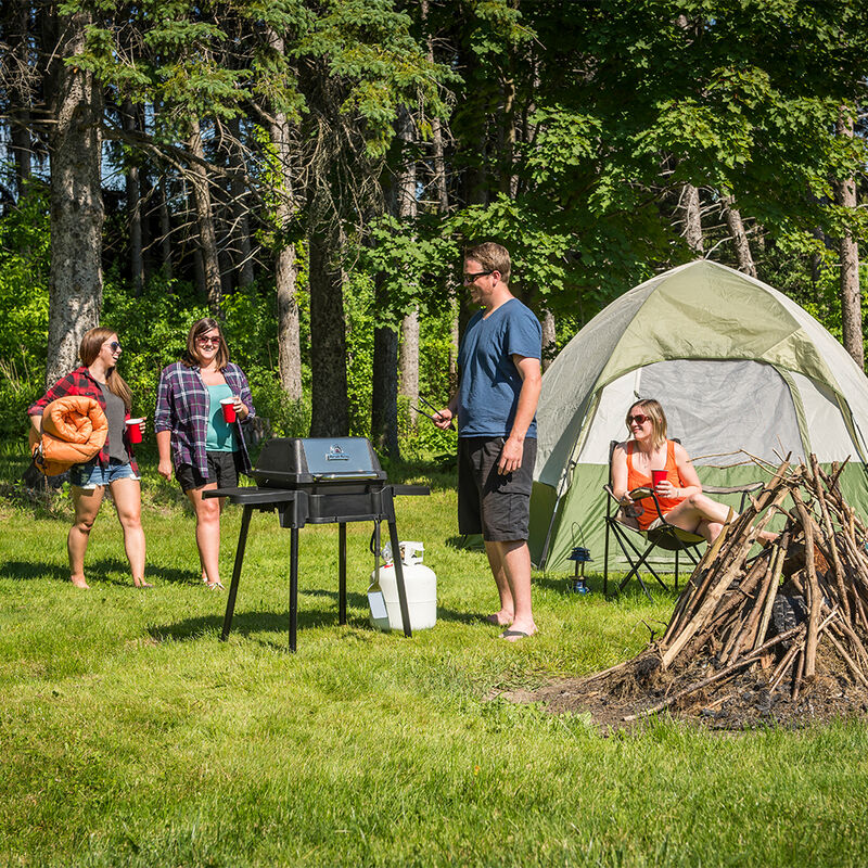 Broil King Porta-Chef 120 Portable Gas Grill image number 7