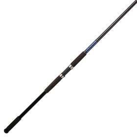 Shakespeare Tidewater Rod