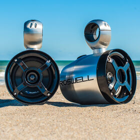 Roswell Classic Unison 6.5" Coaxial Hanging Speakers, Pair