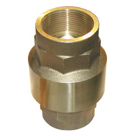 CV Series Check Valve, 3/4" Pipe