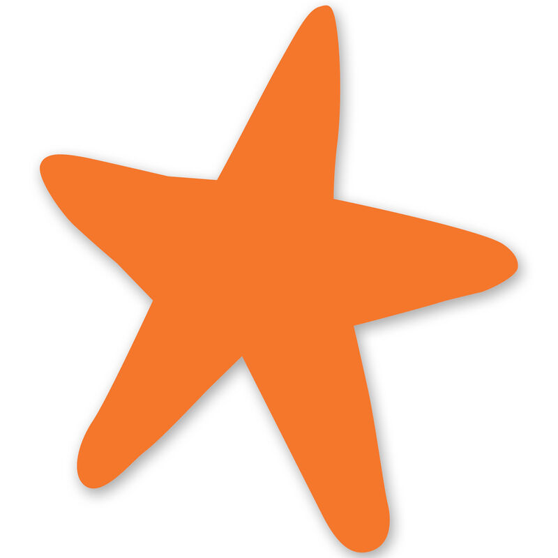 Starfish Vinyl Decal image number 11