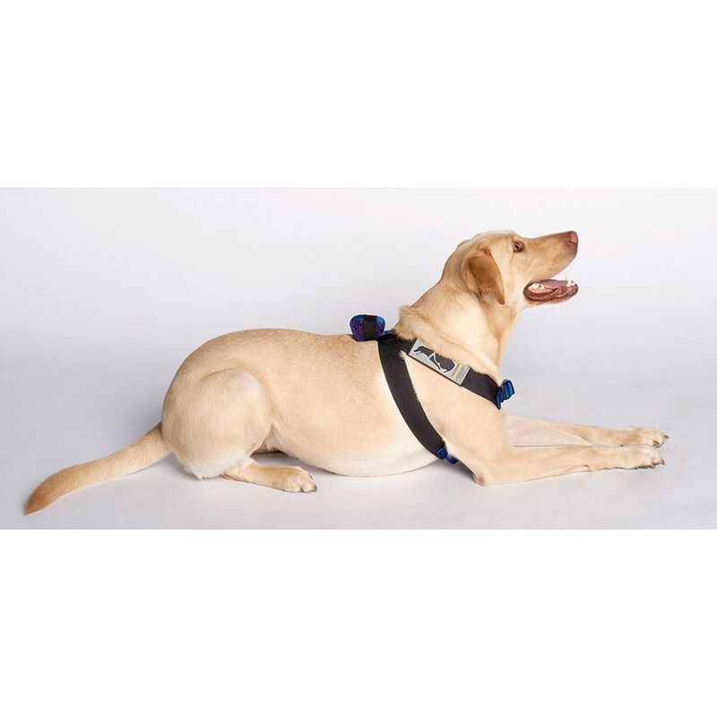 Pink Canine Travel Safe Harness, Large image number 1