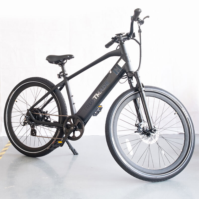 Trustmade TE-300 Electric Bicycle image number 4