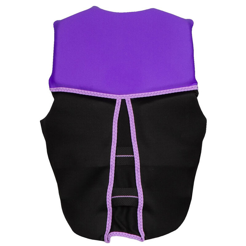 O'Brien Junior V-Back Life Jacket, Purple/Gray image number 2