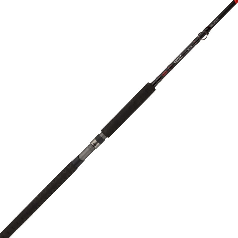 Berkley ECAT Baitcast Combo image number 5