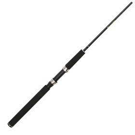Riversider Brown Trout Trolling Rod