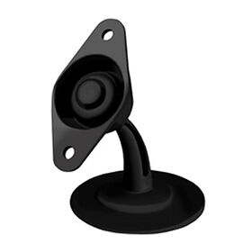 RAM Mount Lil' Buddy Mounting System