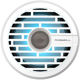 Roswell R1 6.5" In-Boat Speaker - White