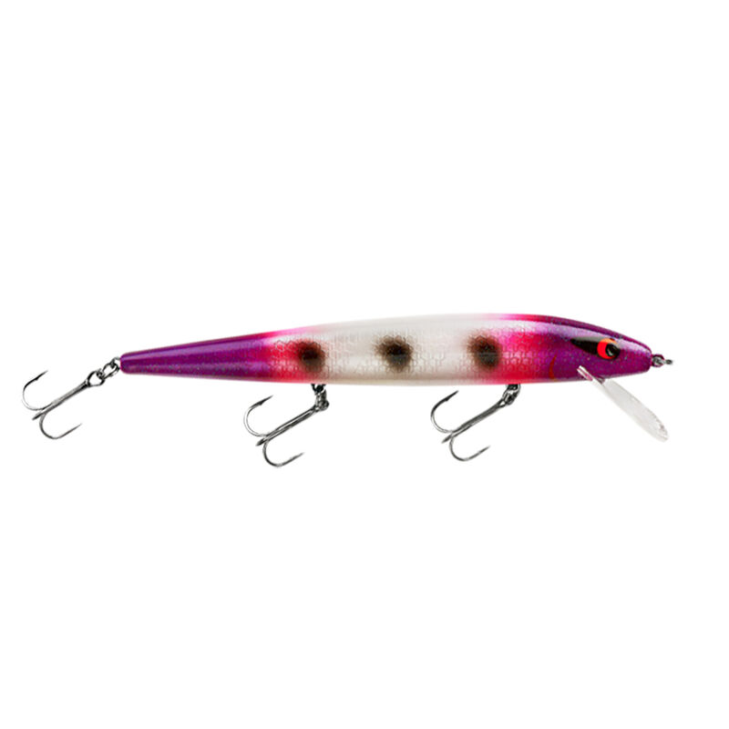 Smithwick Perfect 10 Rogue image number 10