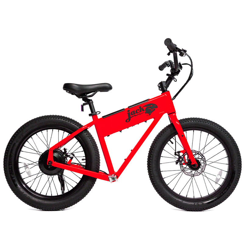 JackRabbit XG, The XL Micro eBike image number 10