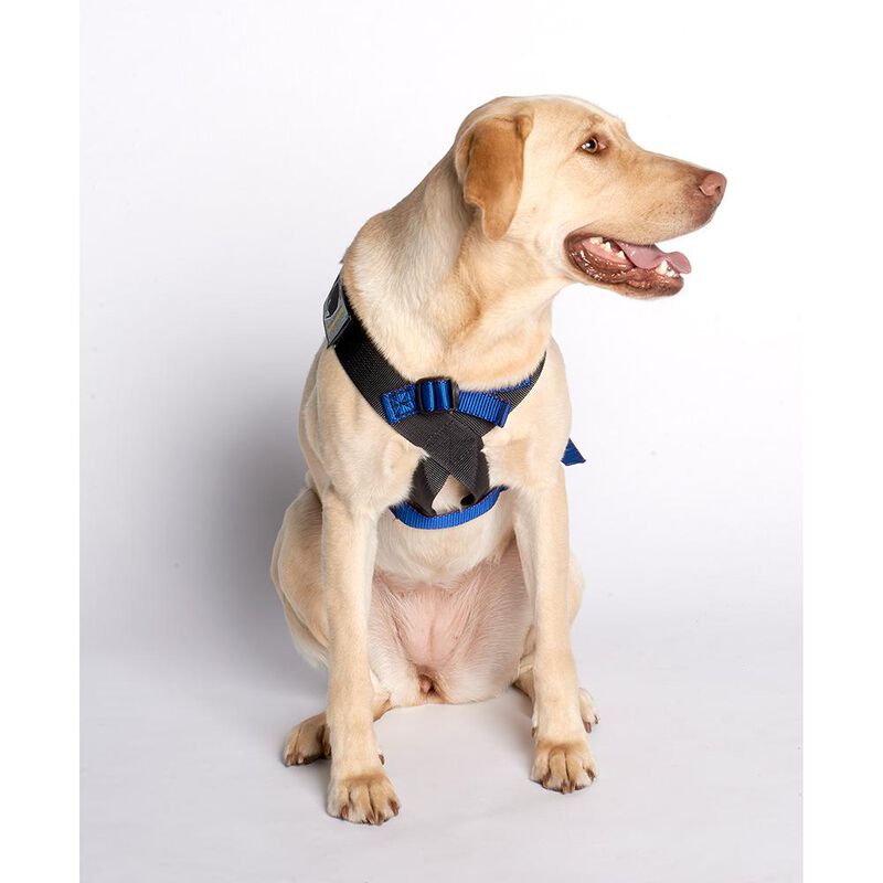 Blue Canine Travel Safe Harness, Large image number 2