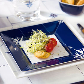 Northwind Square Salad Plates, Set Of 6