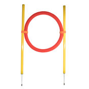 Pet Life Hoop Hopper Collapsible Agility Dog Trainer Kit, One Size Yellow