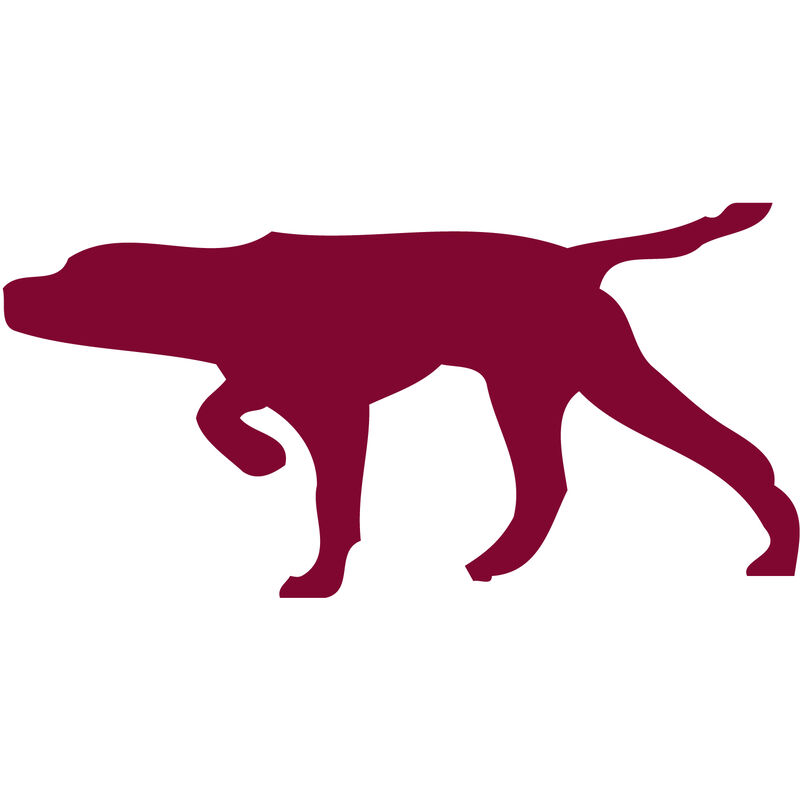 Pointer Vinyl Decal image number 12