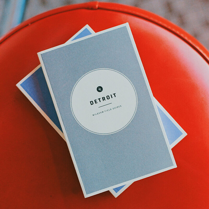 Wildsam Travel Guide - Detroit image number 3