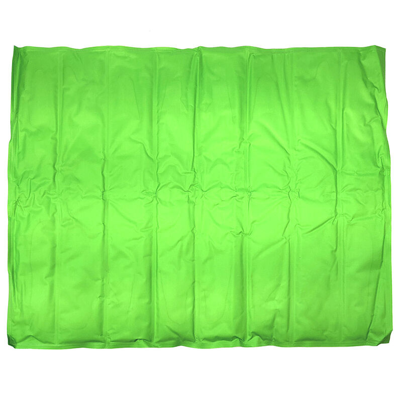 Coleman Unique Petz Medium Reversible Cooling Mat, Green Botanical image number 2