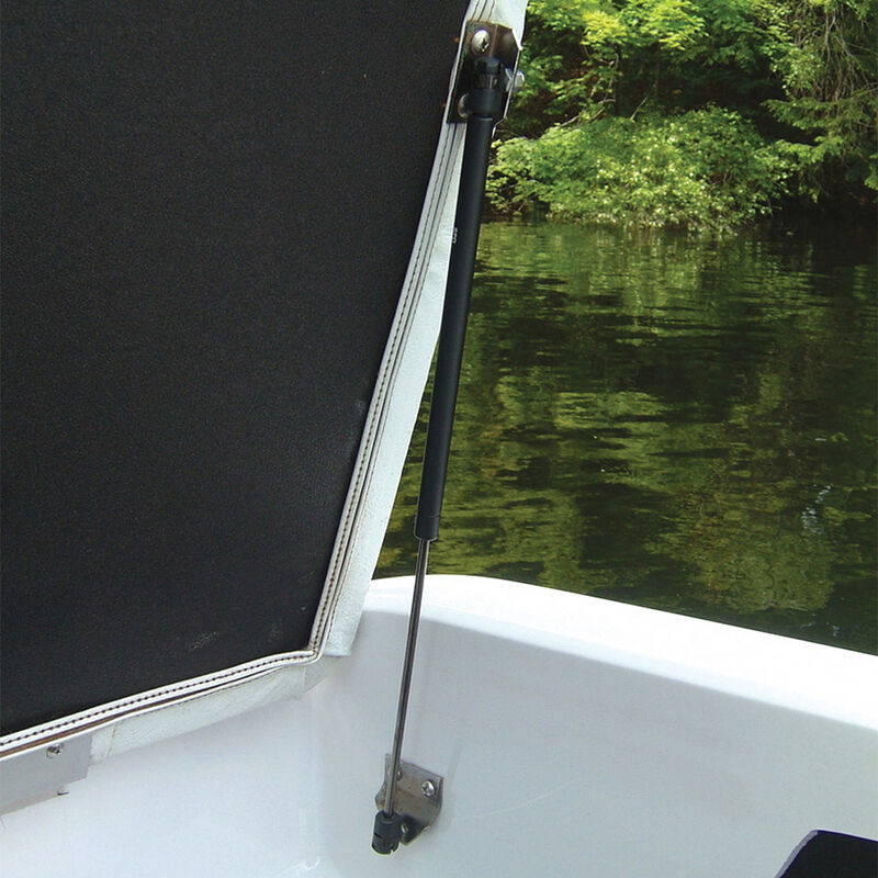 Gas Shocks 10 mm ball end 12" x 20 lbs image number 1