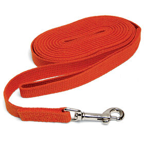 Scott Pet Nylon Checkcord