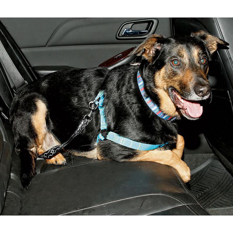 Pet Seat Belt Tether image number 5
