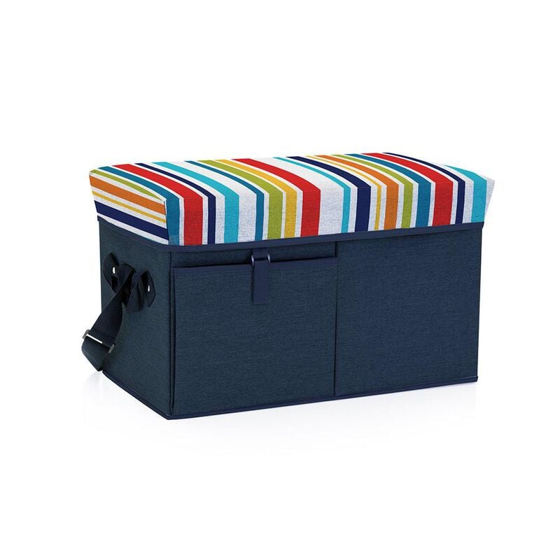 Ottoman Cooler - Fun Stripe image number 1