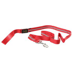 LED Light-up Pet Leash