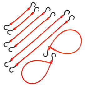 The Perfect Bungee 8-Piece Variety Pack
