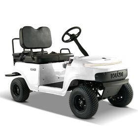 Kandi Collapsible Mini Electric Golf Cart