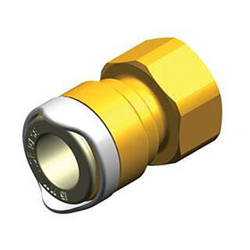 Whale 15mm Female Adapter With 1/2" BSP