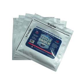 Cooler Shock Reusable Ice Packs, Medium, 10&rdquo; x 9&rdquo; 