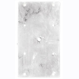 Wise Mounting Plate