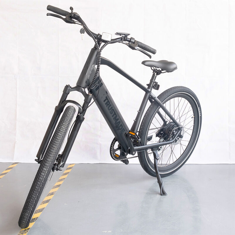 Trustmade TE-300 Electric Bicycle image number 3