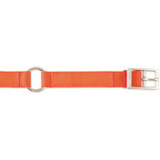 Scott Pet Hot Orange Field Collar, 1"W x 20"L