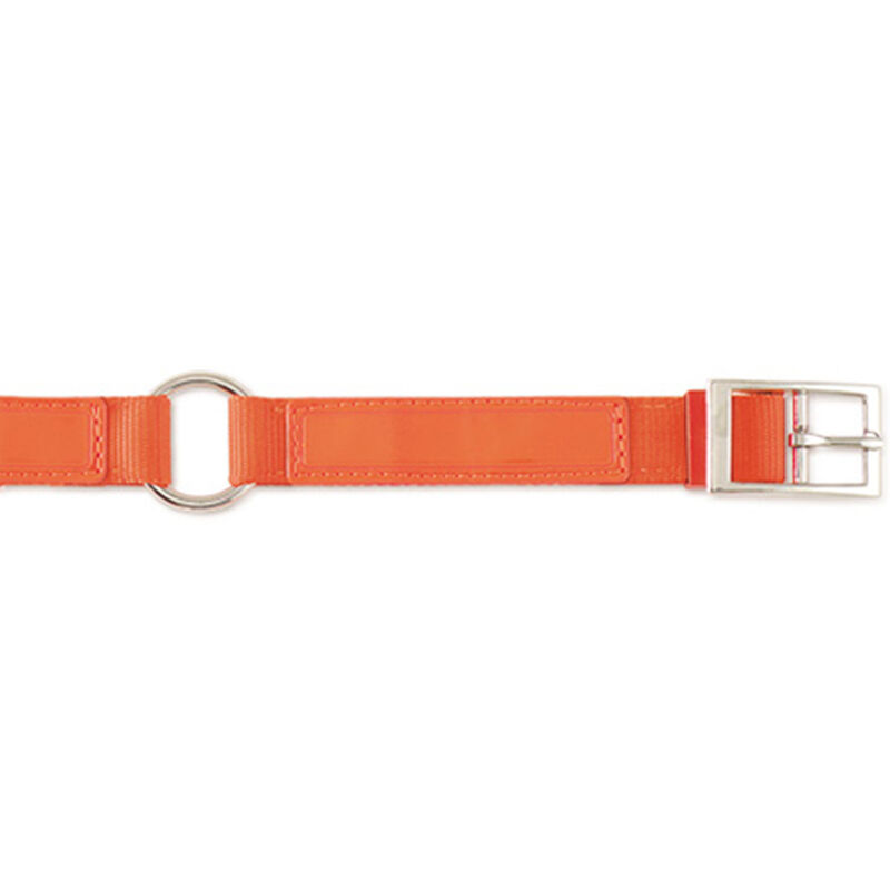 Scott Pet Hot Orange Field Collar, 1"W x 20"L image number 1