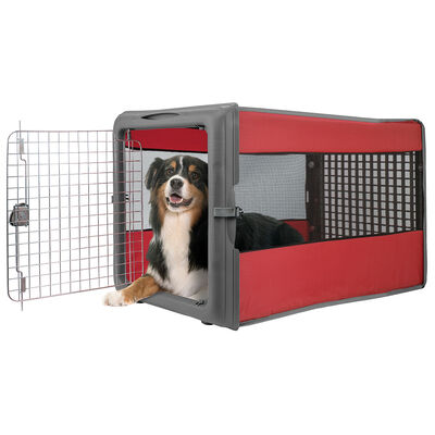 Pop Crate Folding Pet Kennel, Large