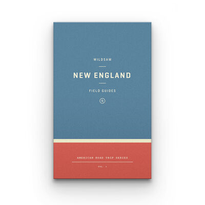 Wildsam Travel Guide - New England