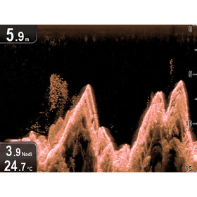Raymarine Dragonfly 4 DV DownVision Sonar