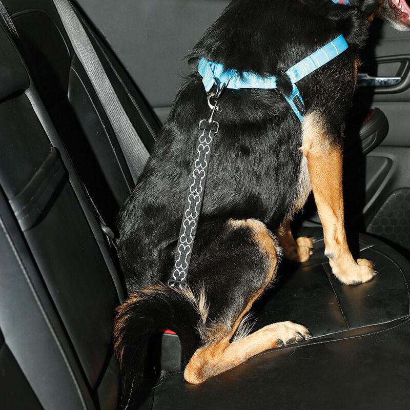 Pet Seat Belt Tether image number 2