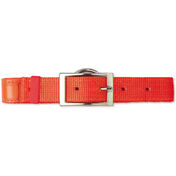 Scott Pet Hot Orange Field Collar, 1"W x 20"L, Reflexite