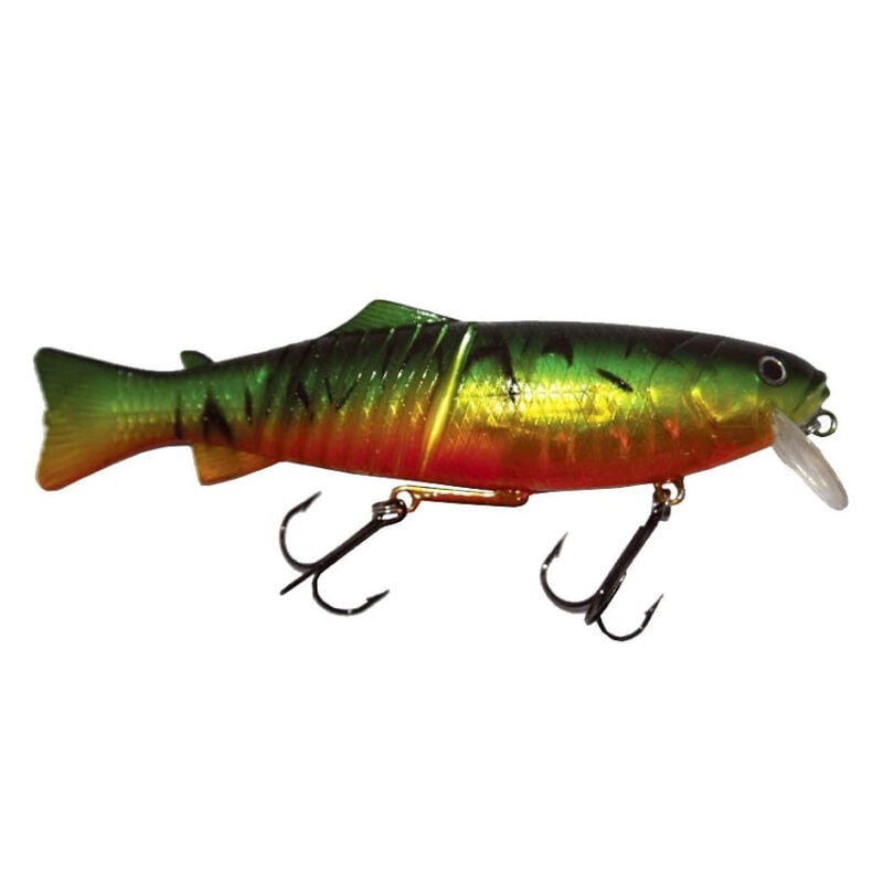 Joe Bucher Swim'N Raider image number 1