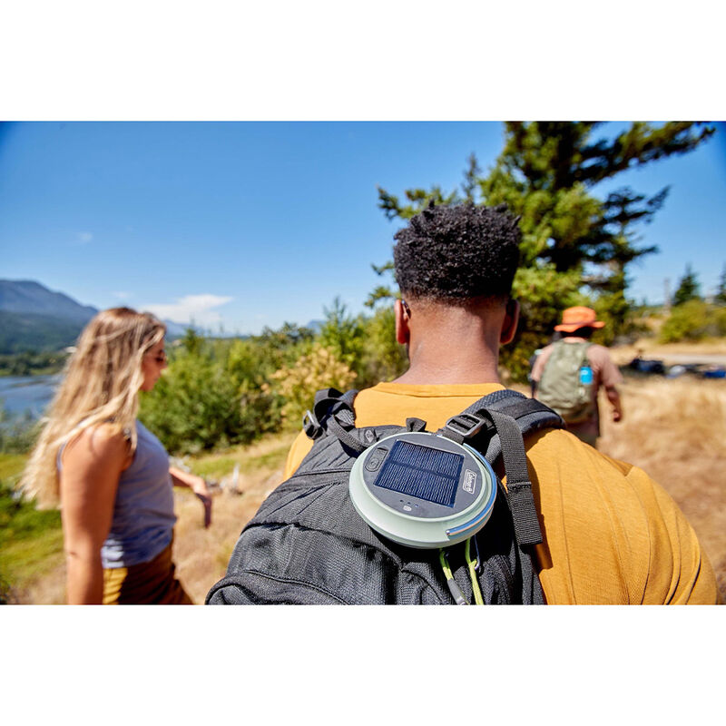 Coleman Solar Powered 200 Lumen Lantern image number 4