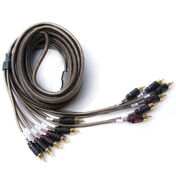 Roswell 6-Channel RCA Cable