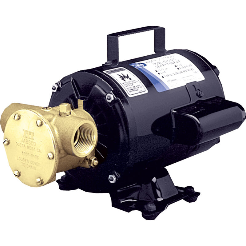 Jabsco Utility Pump With Open-Drip Proof Motor image number 1