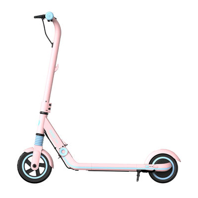 Segway Ninebot eKickScooter ZING E8, Pink