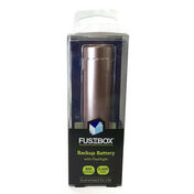 FuseBox Rechargeable Pewter Backup Battery with Flashlight
