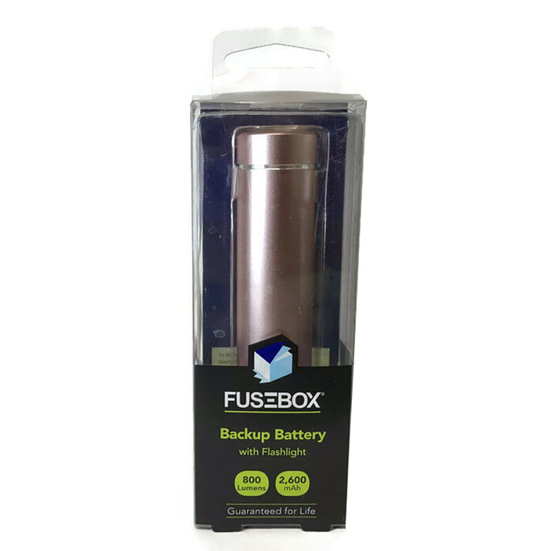 FuseBox Rechargeable Pewter Backup Battery with Flashlight image number 1