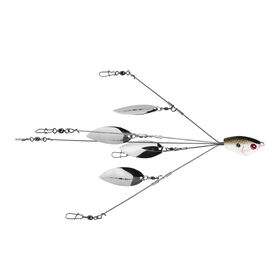 Pradco Yumbrella Flash Mob